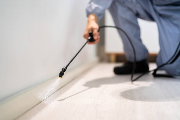 Rodent Entry Point Assessment in Jacksonville