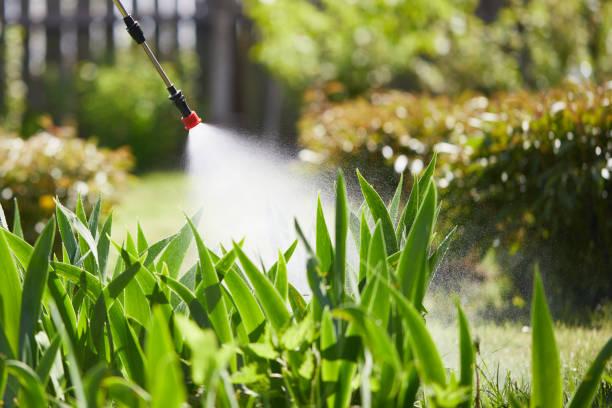 Tamper-Resistant Bait Stations for Rodents in Jacksonville