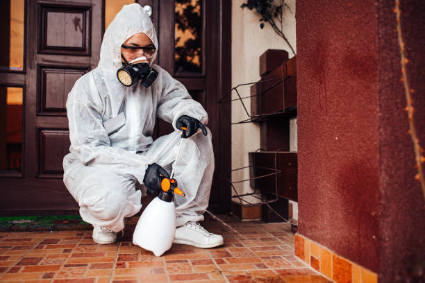 Attic and Crawl Space Rodent Treatment in Jacksonville